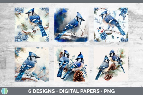 Christmas Blue Jay Backgrounds Digital for Brand Illustrations