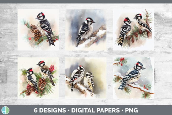 Christmas Downy Woodpecker Backgrounds Illustrations