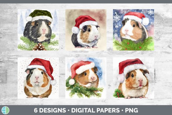 Santa Guinea Pig Christmas Backgrounds Review